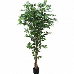 Umelá Rastlina Ficus Ii V: 180cm